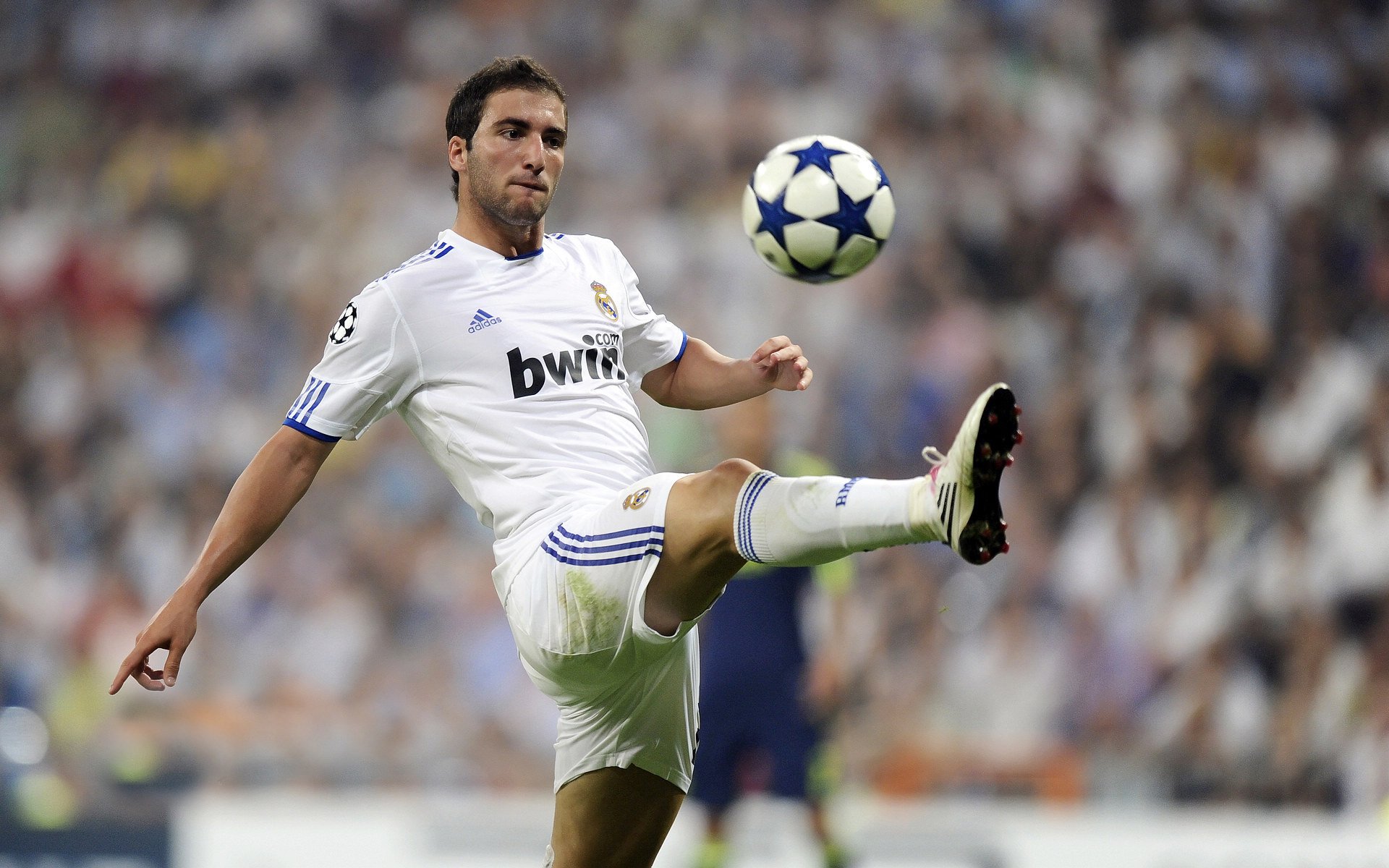 _新年新气象：赛季盘点与未来展望_，关于新赛季